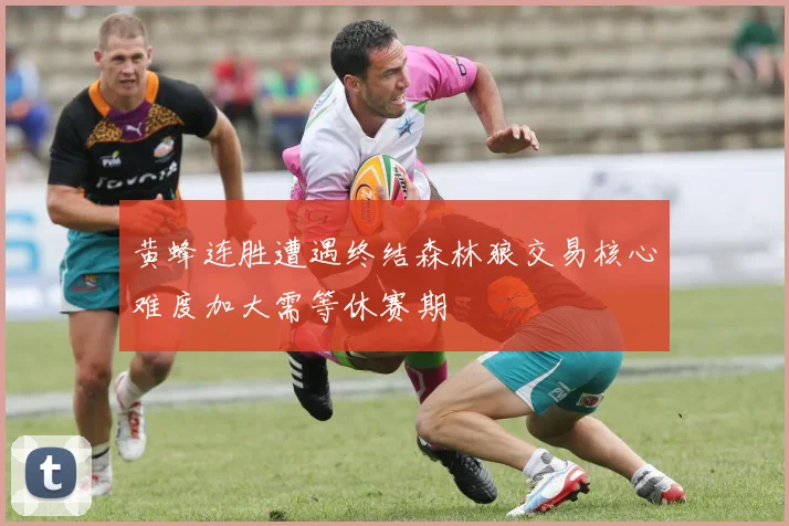 黄蜂连胜遭遇终结森林狼交易核心难度加大需等休赛期