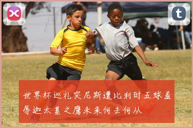 世界杯巡礼突尼斯遭比利时五球羞辱迦太基之鹰未来何去何从