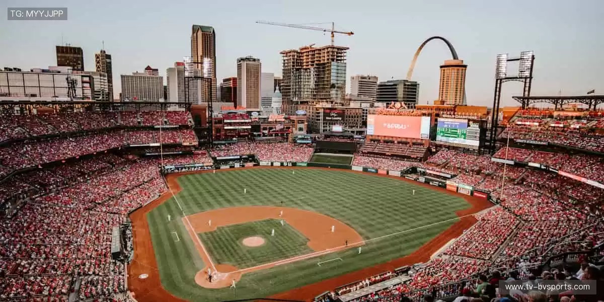 🚀 赛事狂欢，点燃全民运动热情！